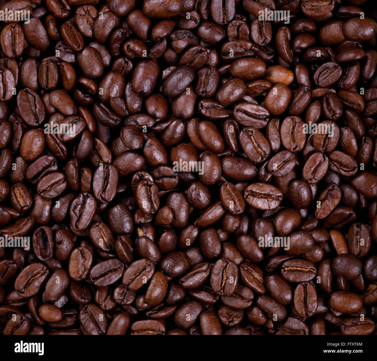 Top view of freshly roasted coffee beans in filled frame format Stock ...