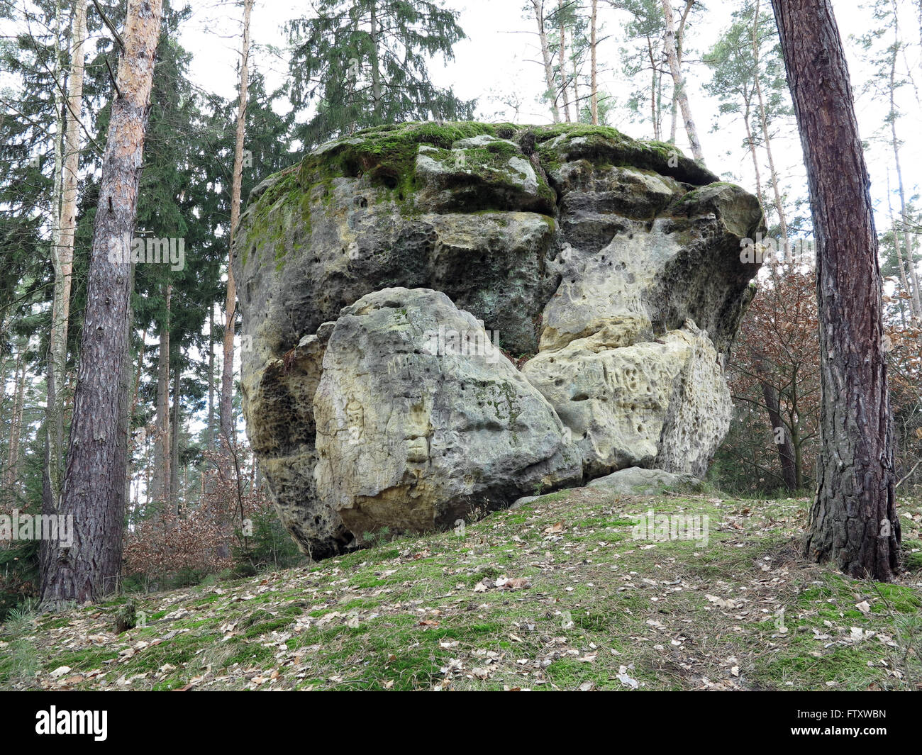 Bizarre sandstone rock formation in the forest Stock Photo