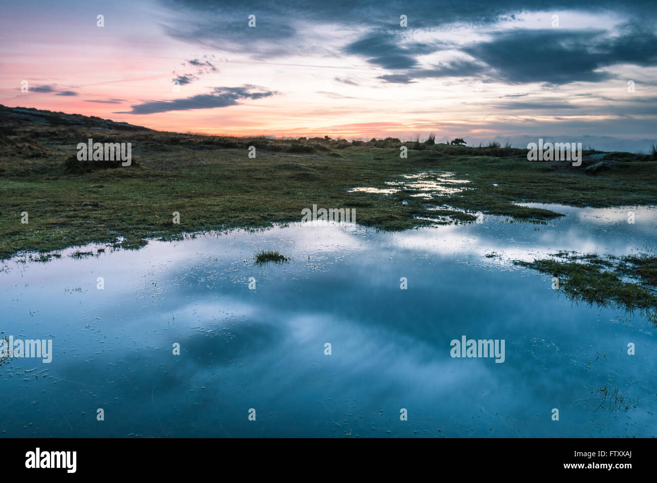 Sky reflection in wild pond at sunset Stock Photo