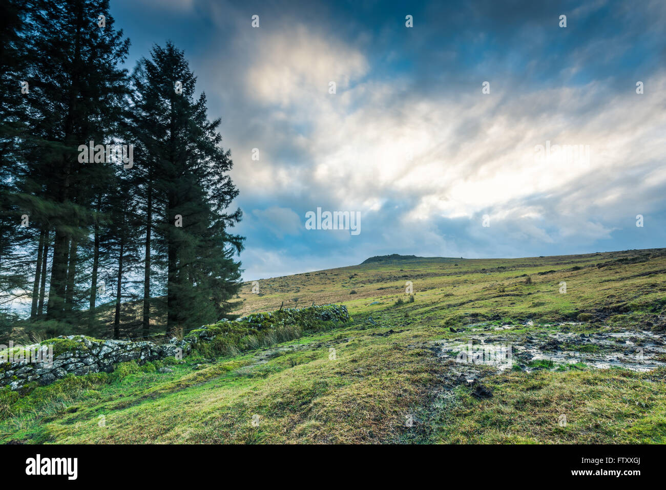 Panoramic view on moorland in Devon, UK with dramatic sky Stock Photo