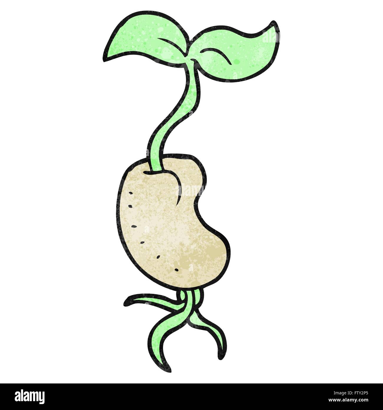 freehand textured cartoon sprouting seed Stock Vector Image & Art - Alamy