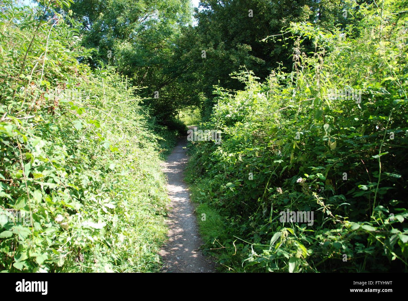 Woodland path north of Fareham Hampshire UK Stock Photo