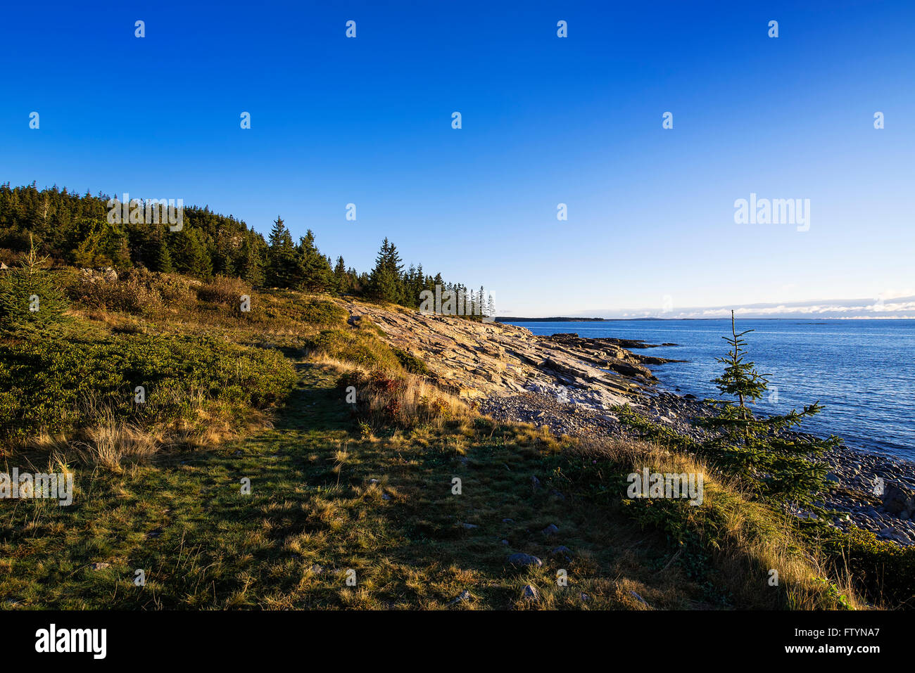 Coastal landscape, Schoodic Peninsula