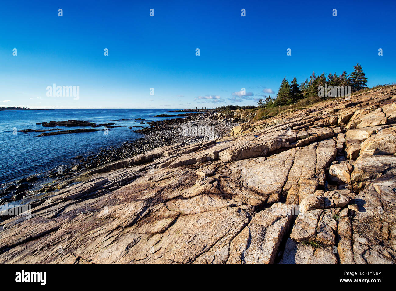 Coastal landscape, Schoodic Peninsula, Acadia National Park, Maine, USA ...