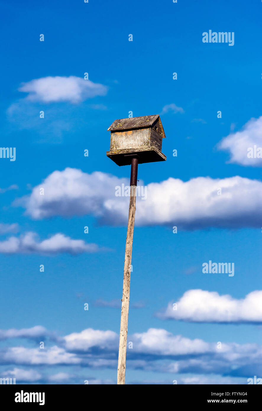 Birdhouse on a tall pole. Stock Photo