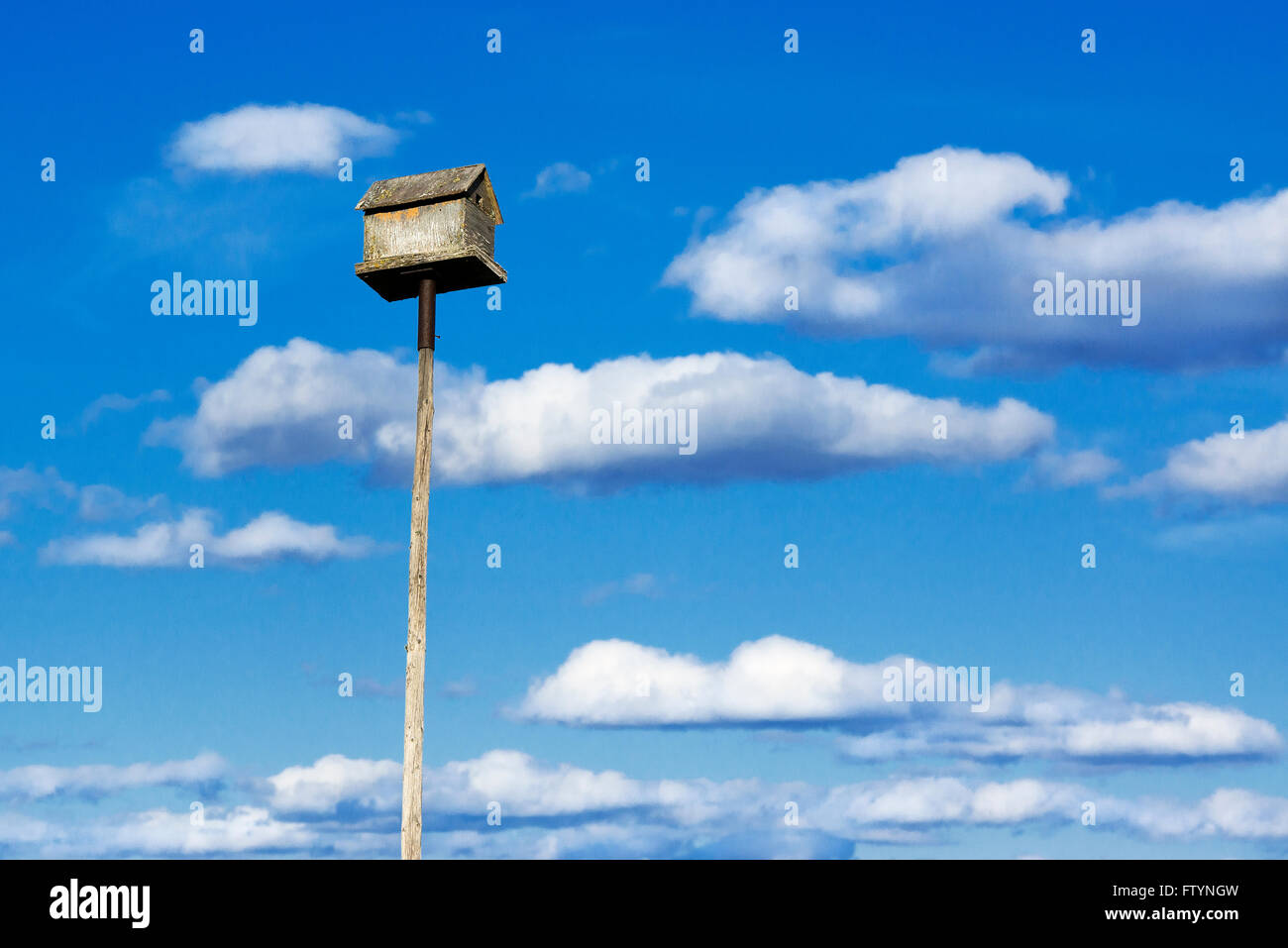 Birdhouse on a tall pole Stock Photo Alamy