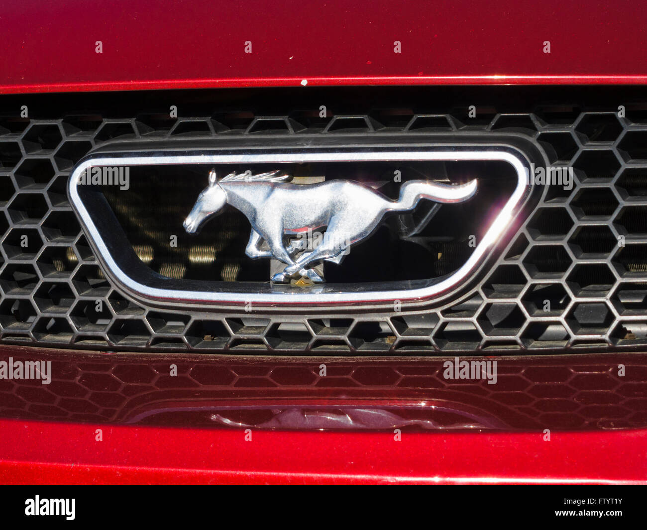 Ford Mustang grill emblem Stock Photo