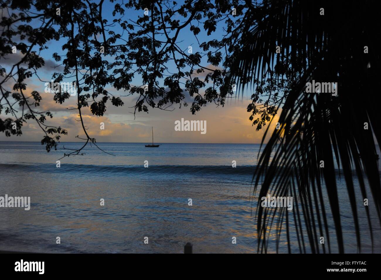 Commonwealth of dominica stock photo alamy