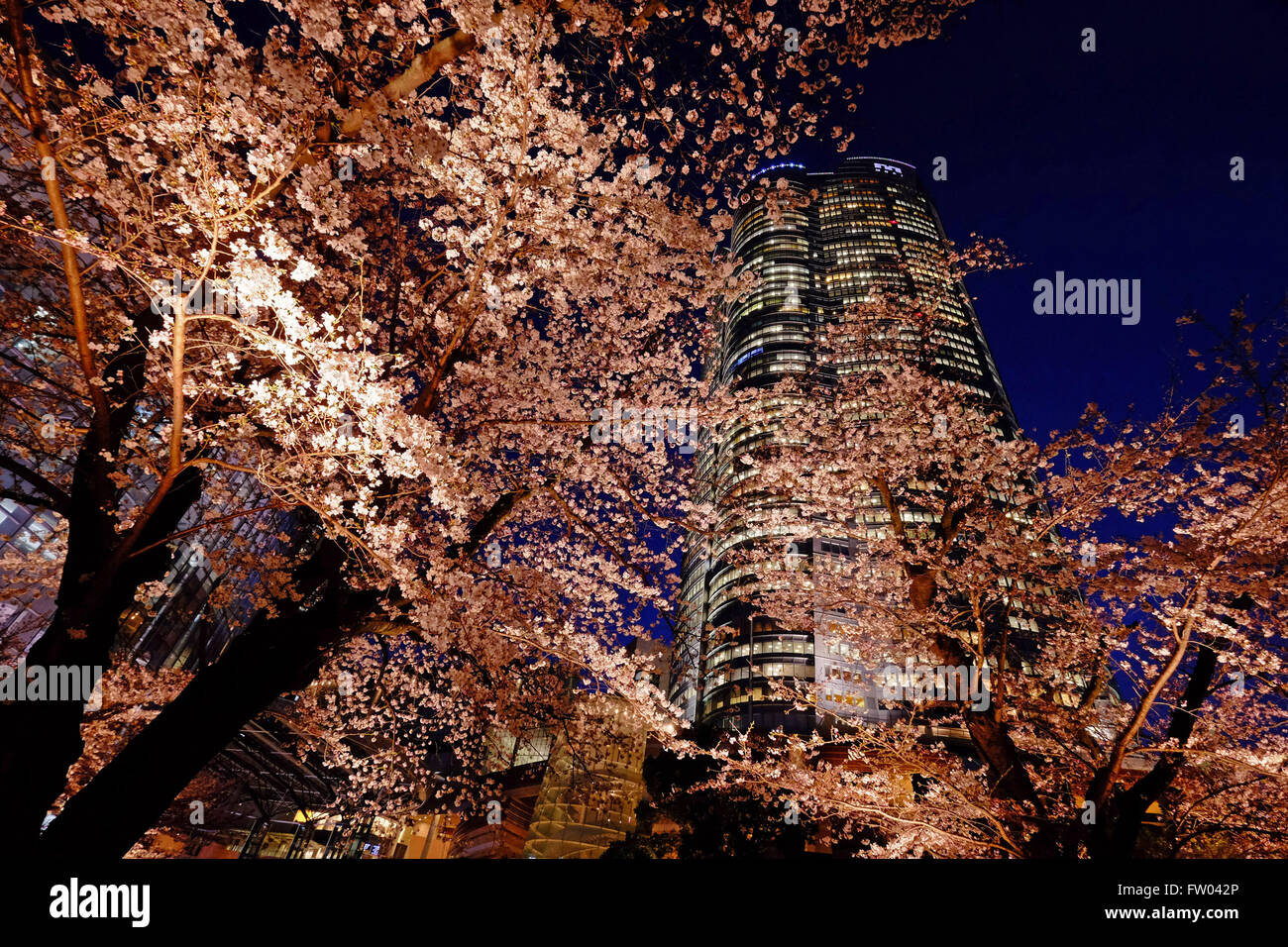 Tokyo japan 30th march hi-res stock photography and images - Alamy