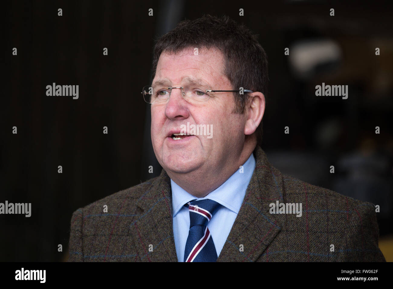 Rotherham, UK. 31st Mar, 2016. Mike Hookem MEP, UKIP defence spokesman,pictured at the launch of Steve Winstone's election campaign, at the TIVAC Steel & Alloys Plant, in Rotherham, South Yorkshire, on 31 March 2016. Credit:  Harry Whitehead/Alamy Live News Stock Photo