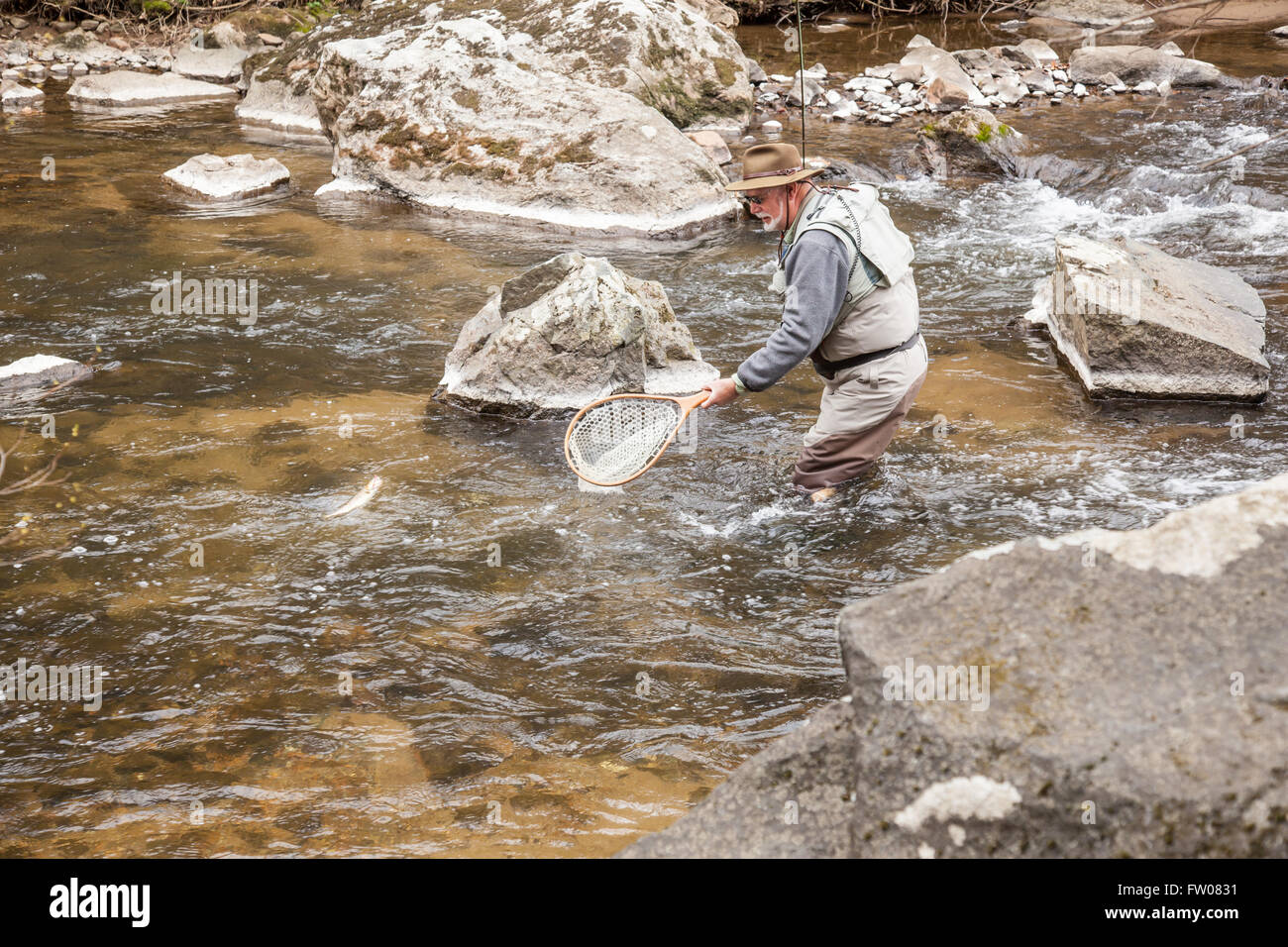 Trout fishing net hi-res stock photography and images - Page 17
