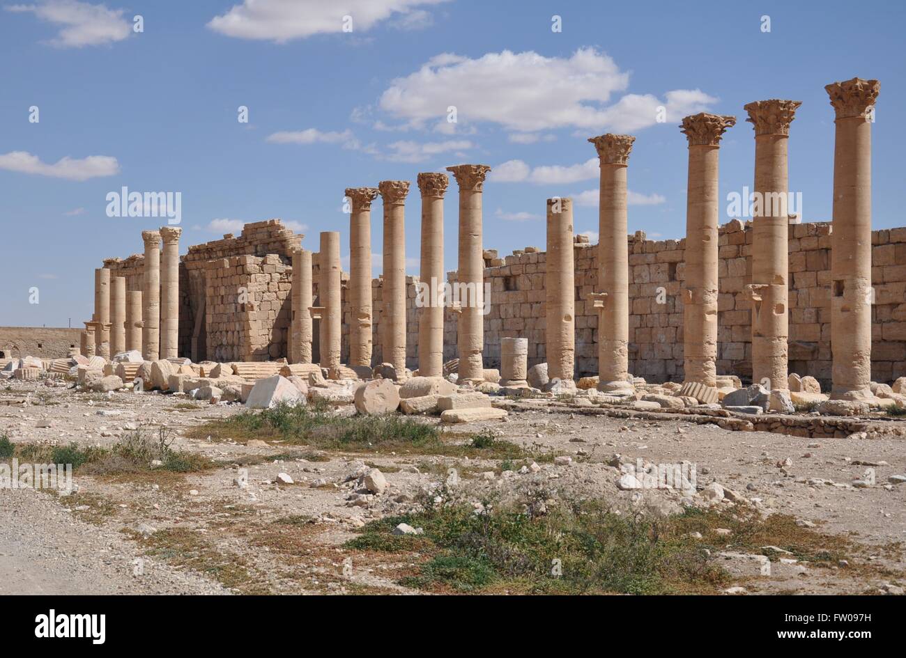 Palmyra. 31st Mar, 2016. Partially damaged ancient columns are seen at the National Museum in the ancient oasis caravan city of Palmyra in central Syria on March 31, 2016. The Syrian army recaptured the city of Palmyra on March 27 following intense battle against the Islamic State(IS) group, which has controlled the city since last May. © Ammar/Xinhua/Alamy Live News Stock Photo