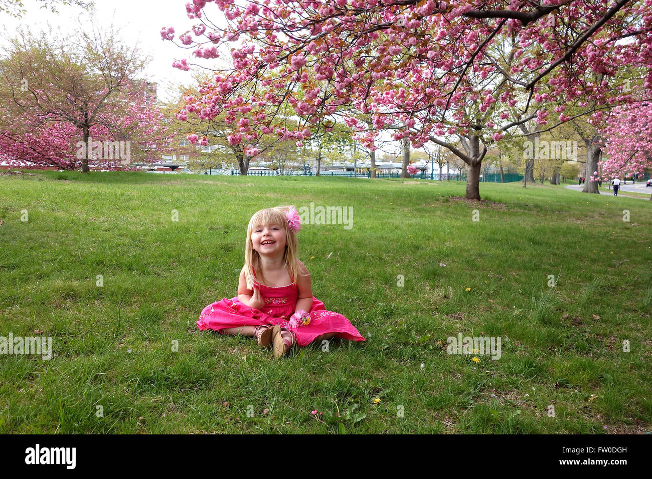 Girl cherry blossom hi-res stock photography and images - Alamy