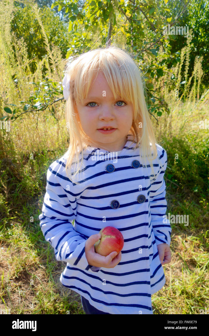 young girl apple picking Stock Photo