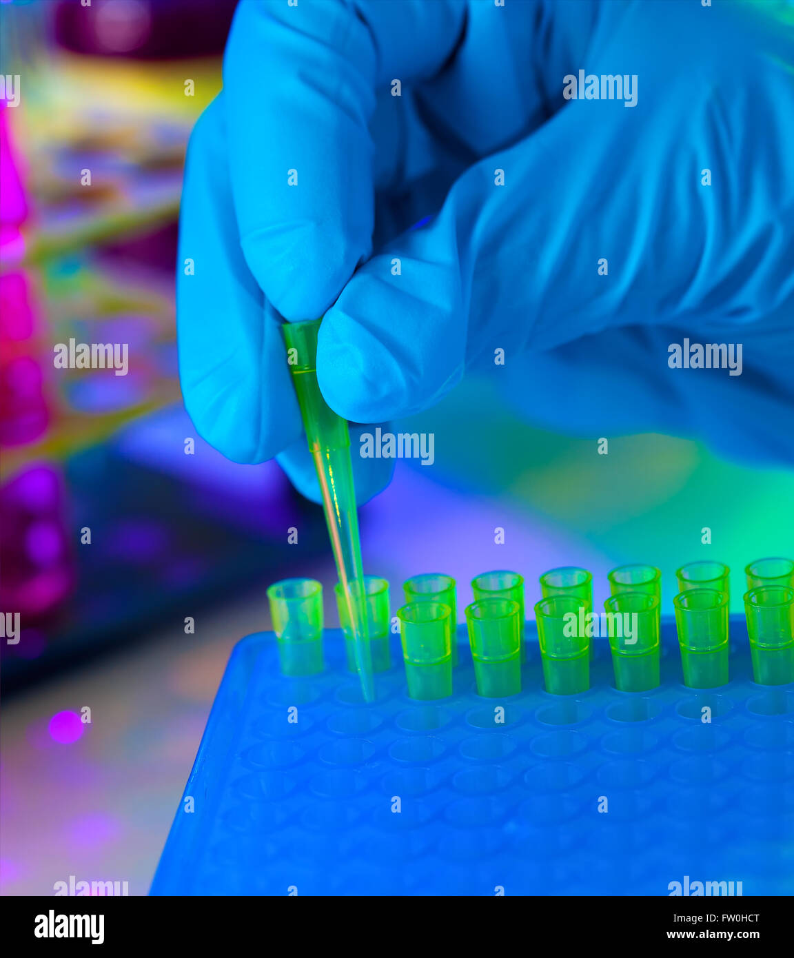 Tech fills in a plastic box with yellow tips for automatic pipette Stock Photo