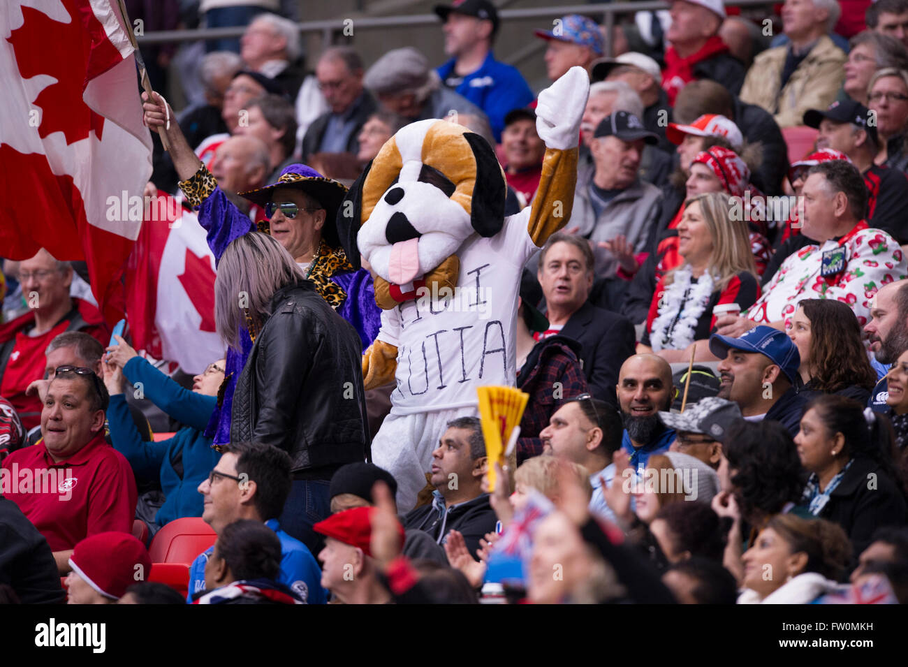 Exuberant fans at a sporting event, at BC Place Stadium Vancouver Stock Photo