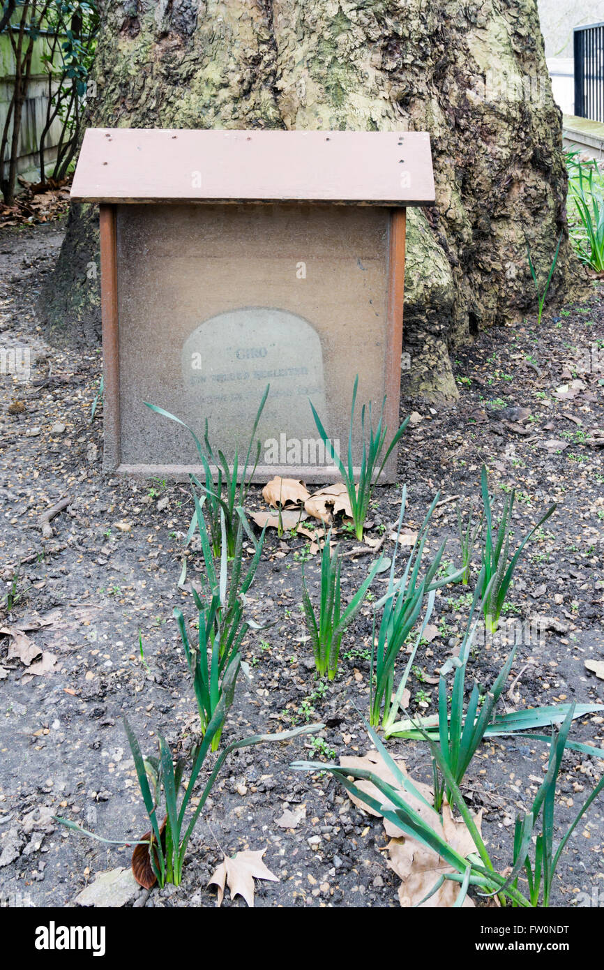 Grave of Giro, the dog of the 1930s German ambassador to London, now largely obscured by the surrounding box built to protect it Stock Photo