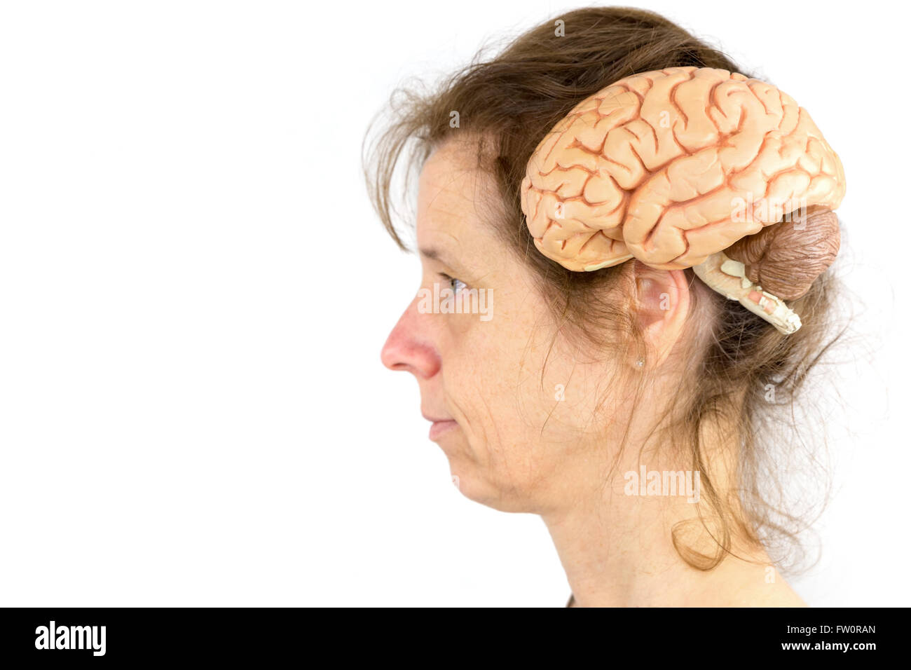 Head of woman with model of human brains isolated on white background Stock Photo