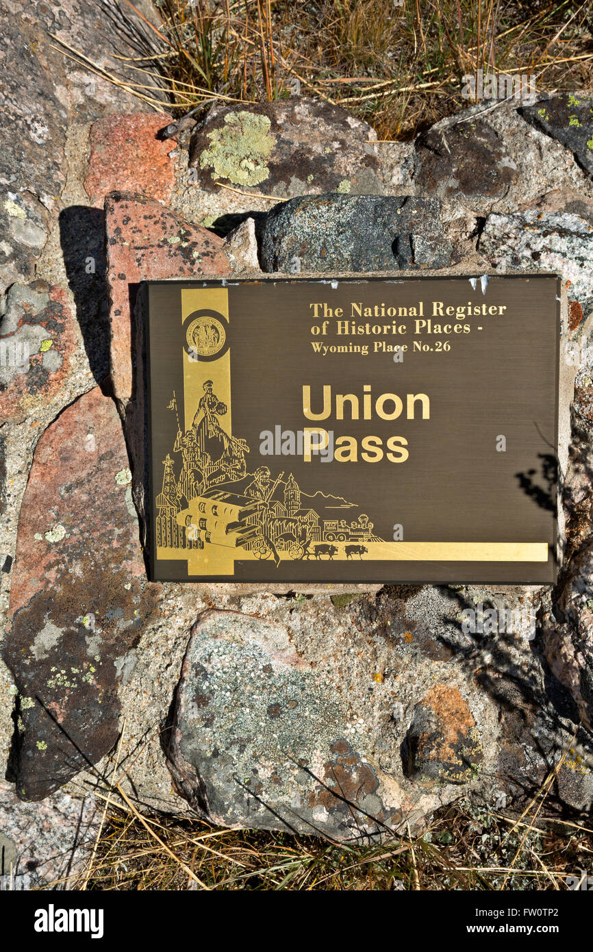 Plaque d'immatriculation USA Wyoming (30 x 15 cm