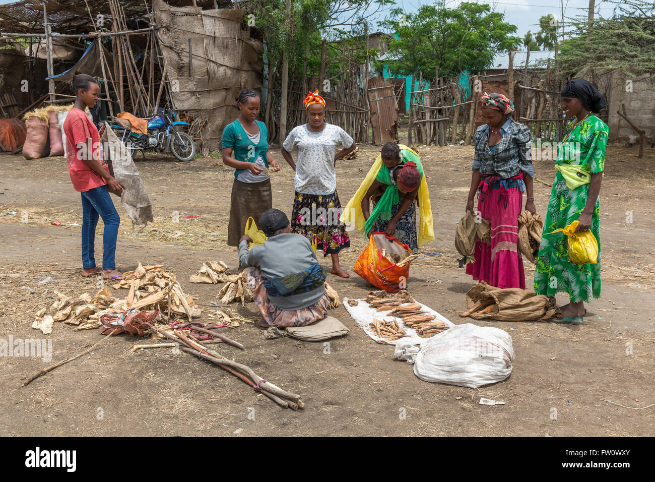 Meki Town Market, Ethiopia, October 2013: Women buying small bundles of fuel wood at the market. Stock Photo