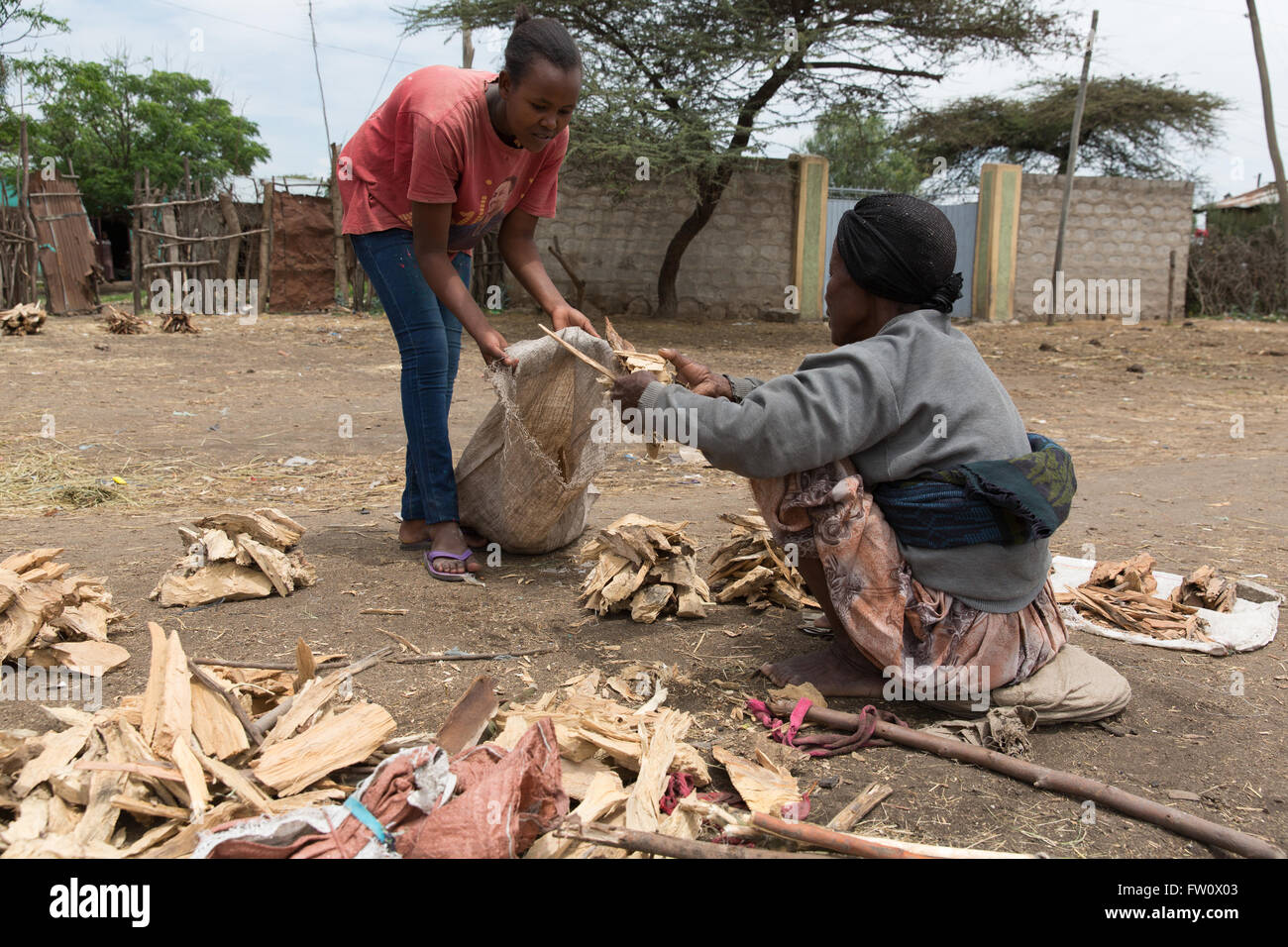 Meki Town Market, Ethiopia, October 2013: Women buying small bundles of fuel wood at the market. Stock Photo