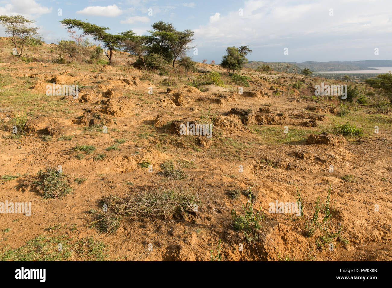 Alutu Ridge, Lake Langano, Ethiopia, October 2013 Erosion caused by deforestation. Stock Photo