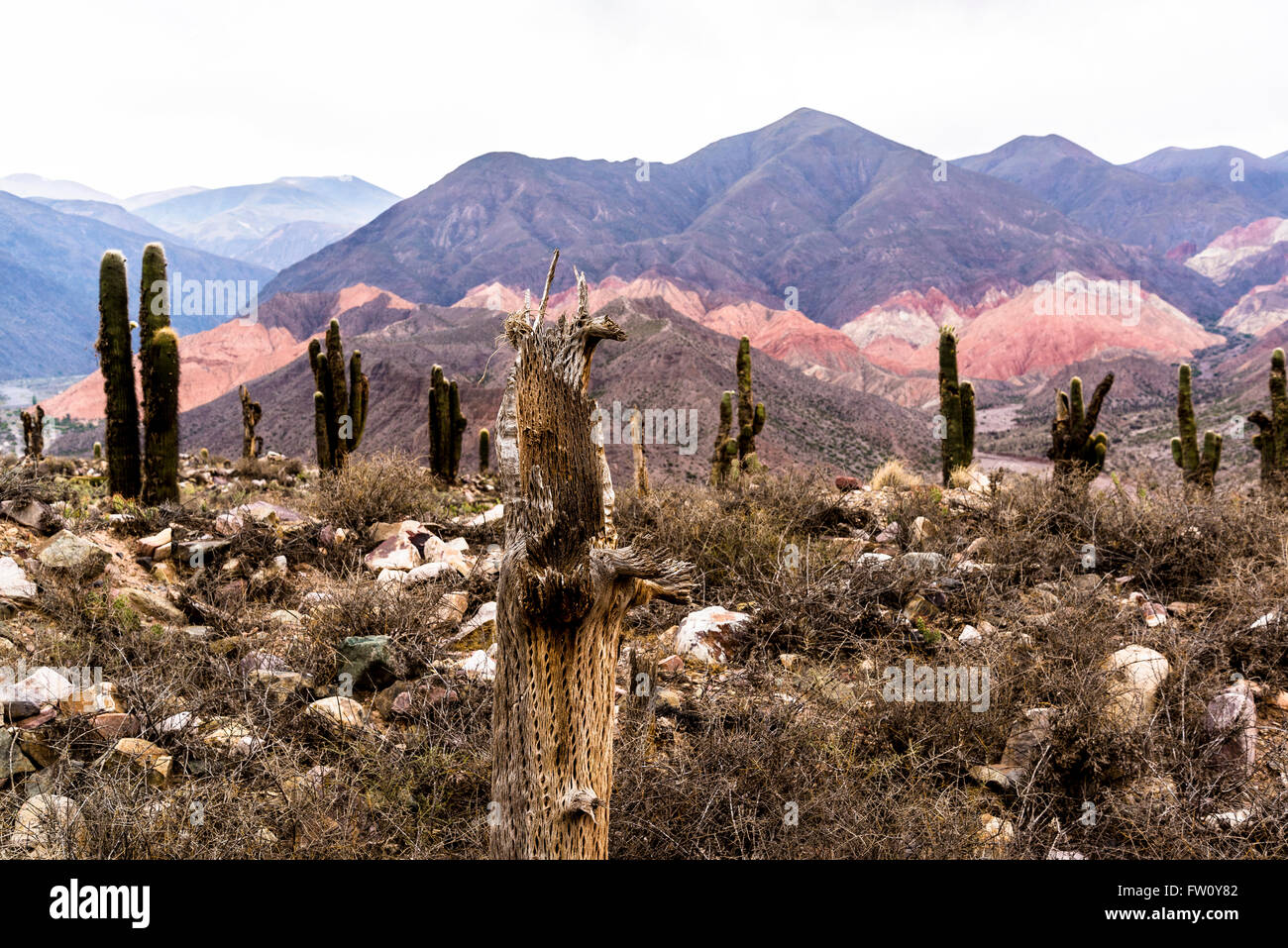 Pucara de Tilcara archeological site, Quebrada de Humahuaca, Salta, Argentina Stock Photo