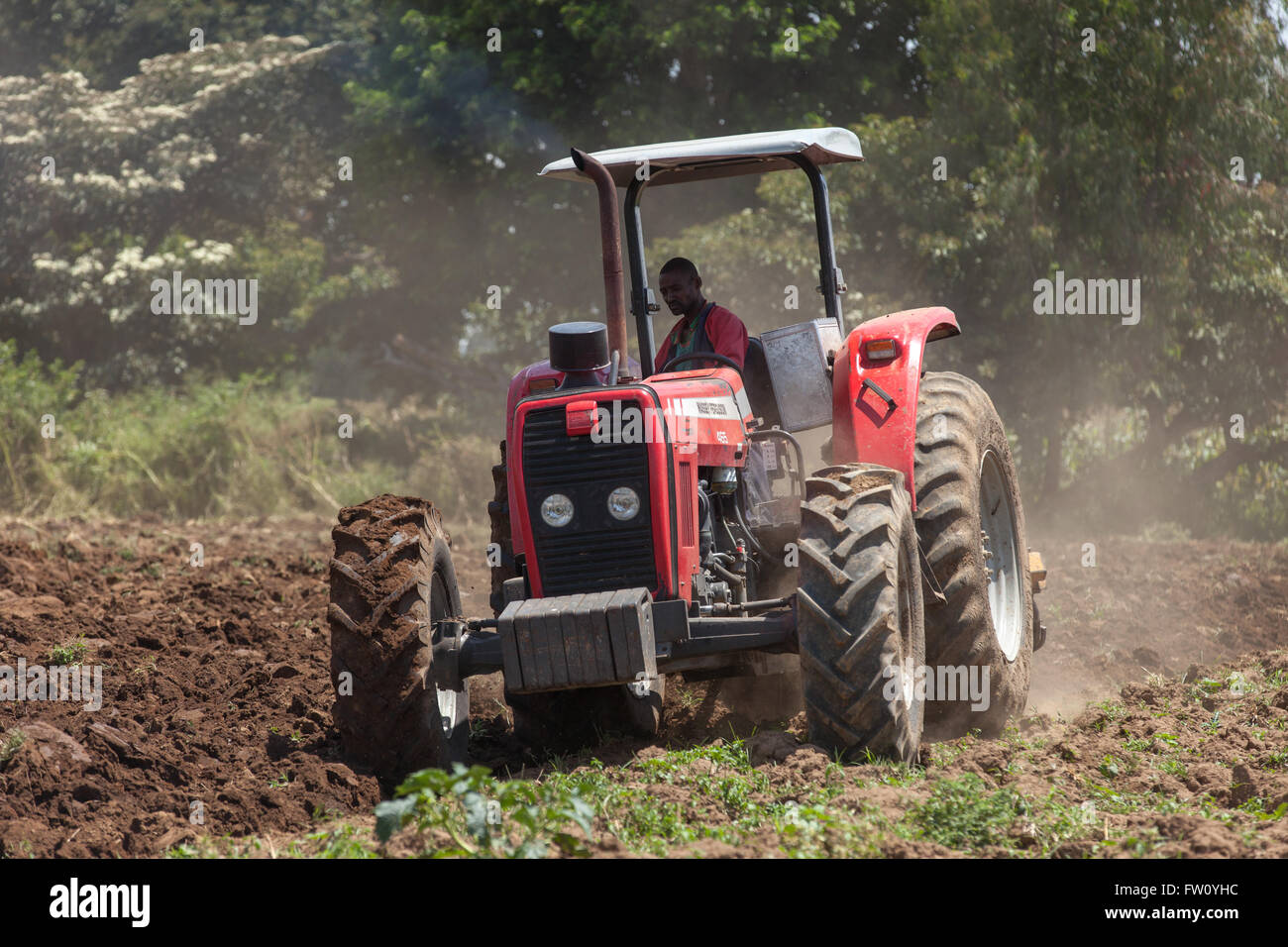 Meki River delta, Ziway, Ethiopia, October 2013: Using a tractor to plough the land. Stock Photo