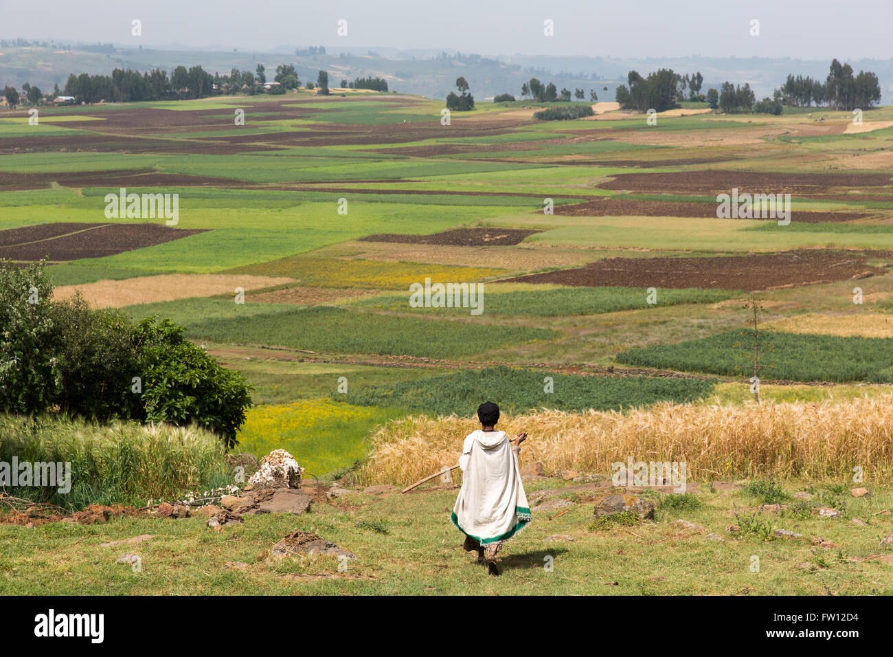 Debre Birhan, Amhara, Ethiopia, October 2013; Tirunesh Shoagulaty, 55