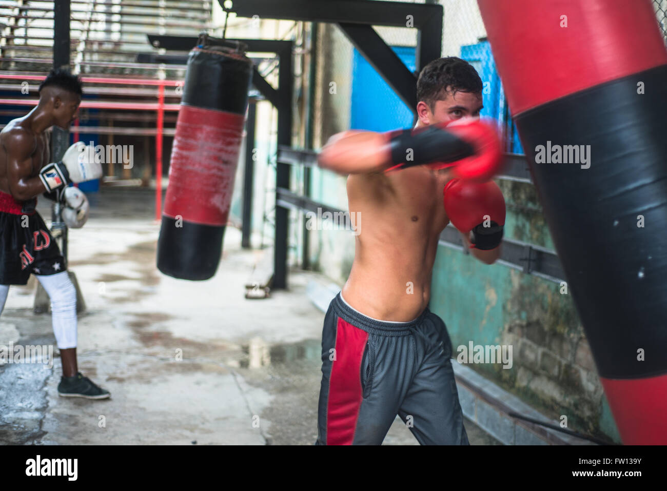 Havana, Cuba September 22, 2015 Young boxers train in famous boxing