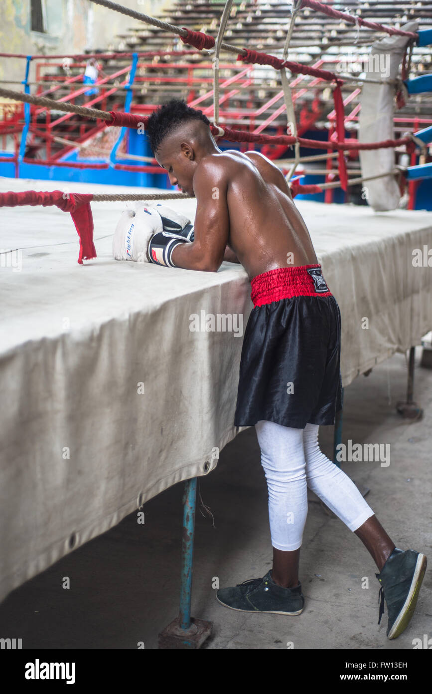 Havana, Cuba September 22, 2015 Young boxers train in famous boxing
