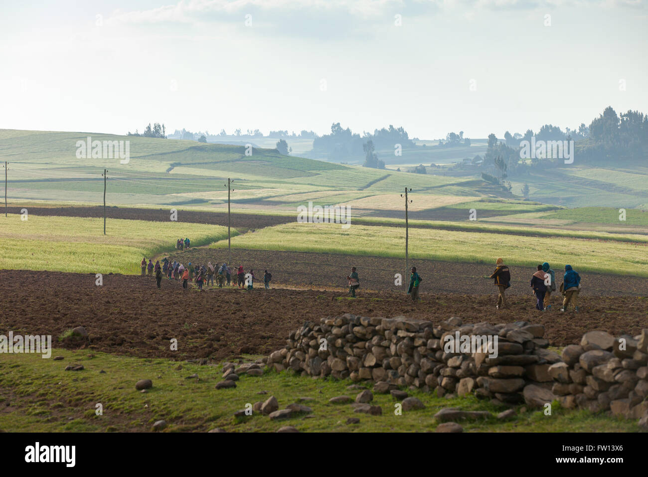 North Shewa, Amhara, Ethiopia, October 2013: Children returning home at the end of the school day. Stock Photo