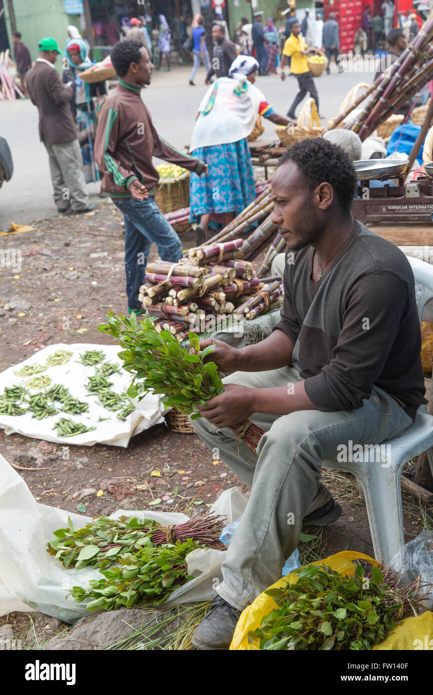 Debre Sina, Ethiopia, October 2013: A young man selling chat leaves on the street on market day. Stock Photo