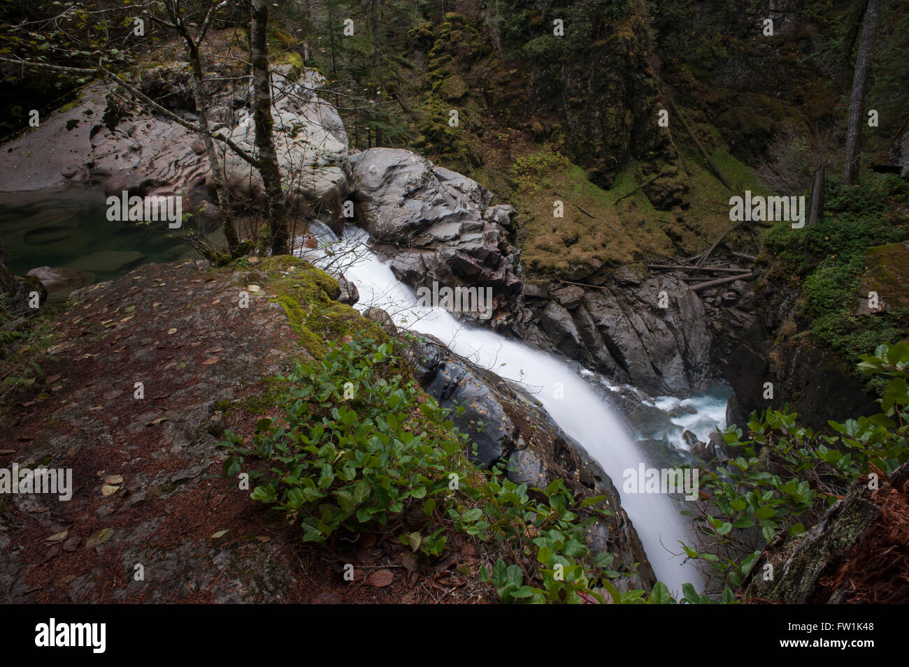 Nooksack River and Nooksack Falls North Cascades National Park Stock