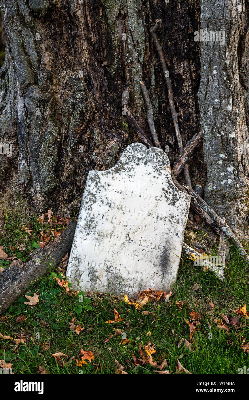 Ancient grave stone by a tree trunk, Lennox, Massachusetts, USA Stock Photo