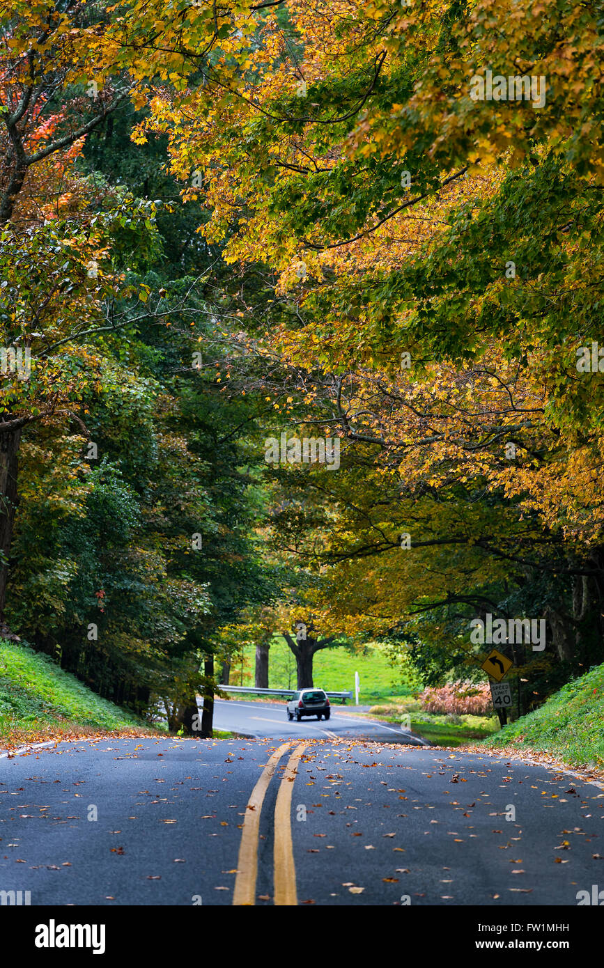 Car driving down an autumn country road, Massachusetts, USA Stock Photo