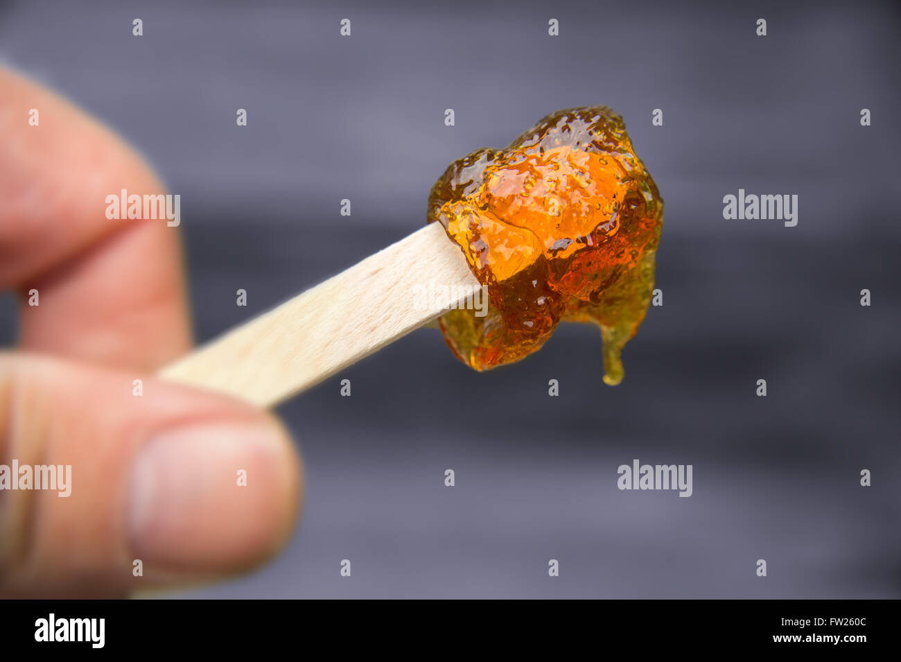 Maple taffy on a stick during sugar shack period Stock Photo Alamy