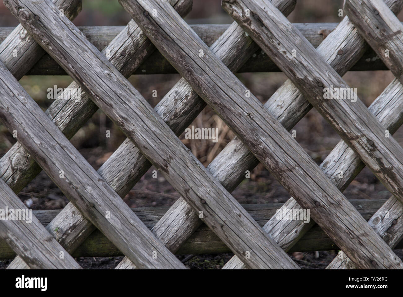 X Pattern Wood Fence WoodsInfo