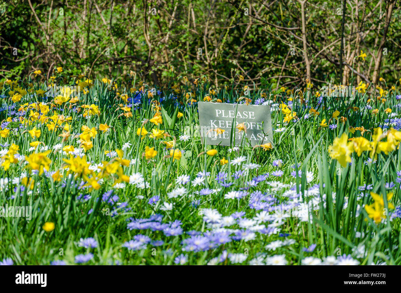 'PLEASE KEEP OFF THE GRASS' sign in spring wild flowers Stock Photo