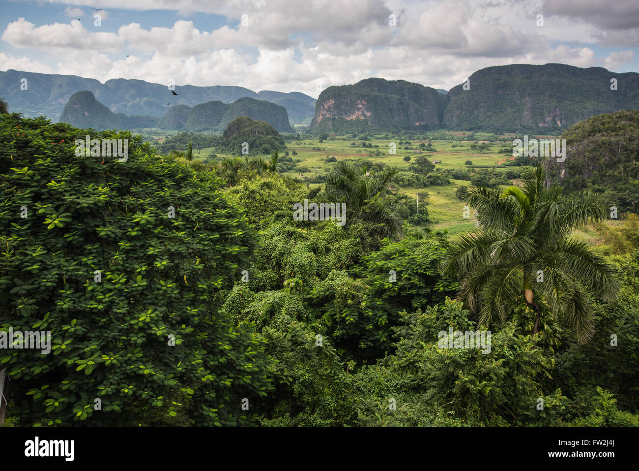 Mountains landscape of mogote in Vinales Valley in Cuba. Stock Photo