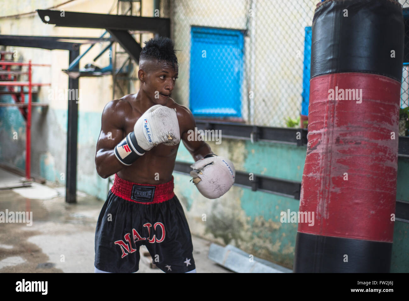Havana, Cuba September 22, 2015 Young boxers train in famous boxing