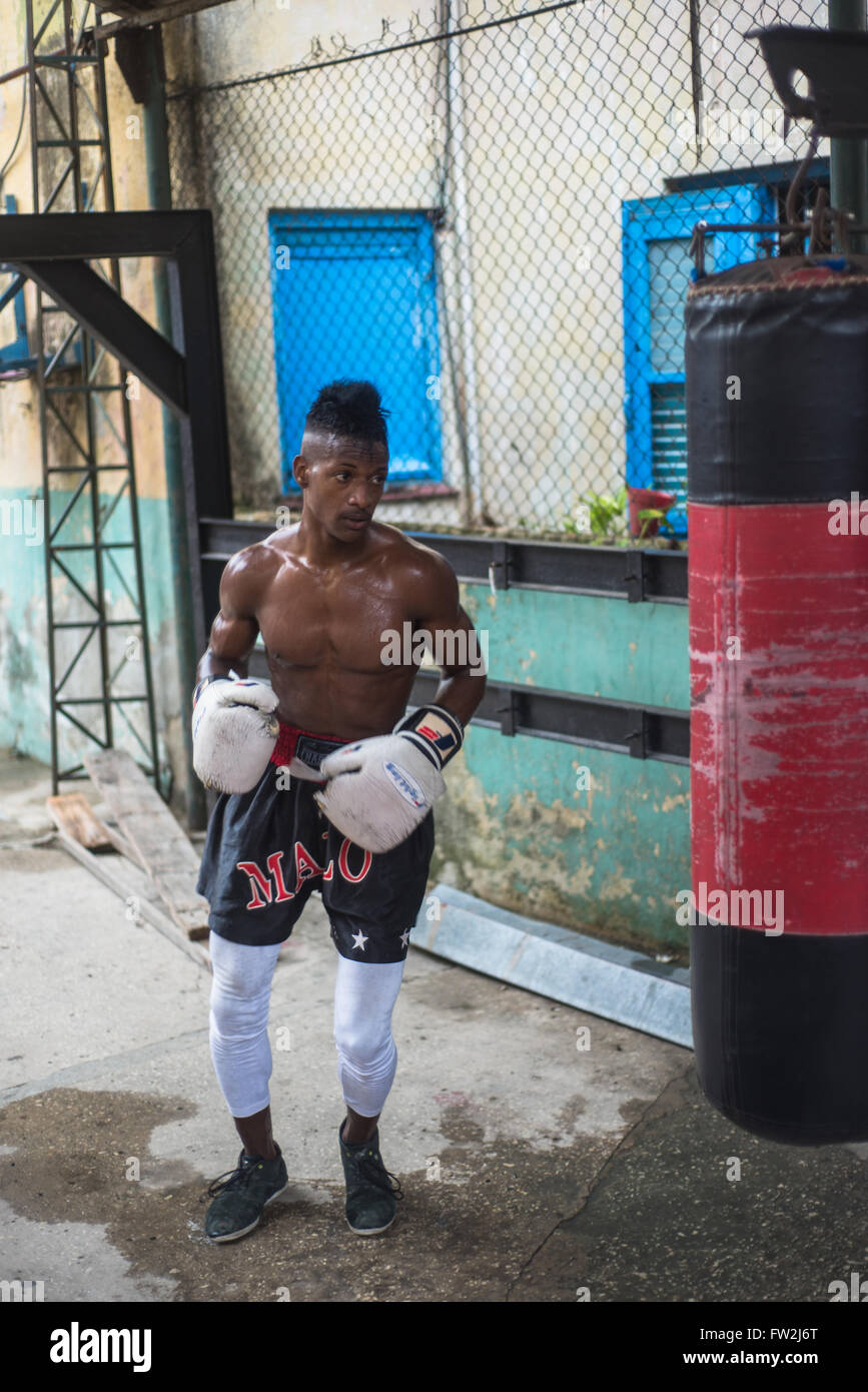 Havana, Cuba - September 22, 2015:  Young boxers train in famous boxing school of Rafael Trejo in Old Havana,Cuba. Box is Cuba n Stock Photo