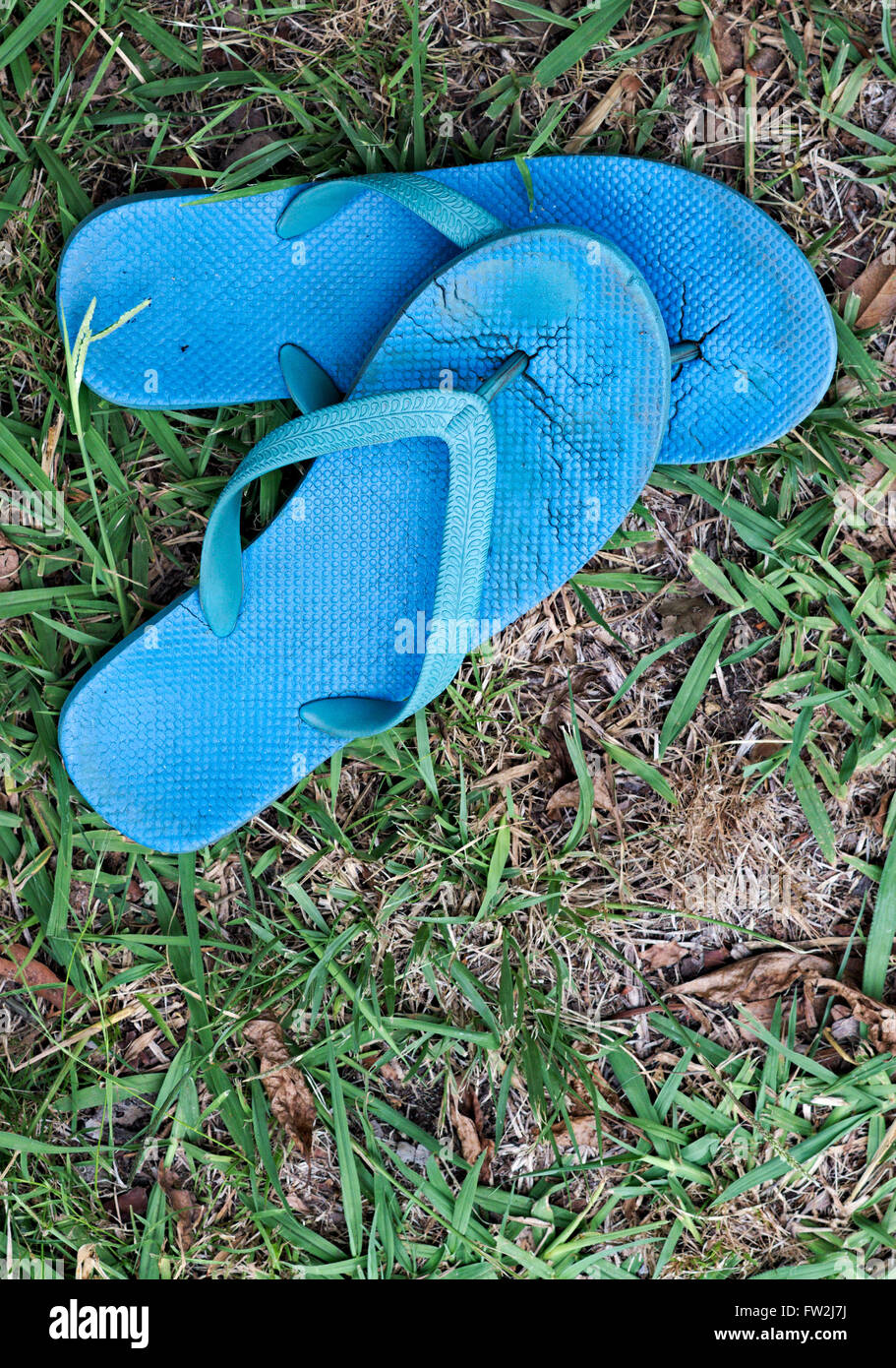 A pair of worn out blue thongs/flip flops against worn down lawn grass. Stock Photo