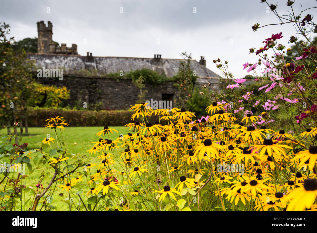 Garden estate buckland abbey hires stock photography and images Alamy