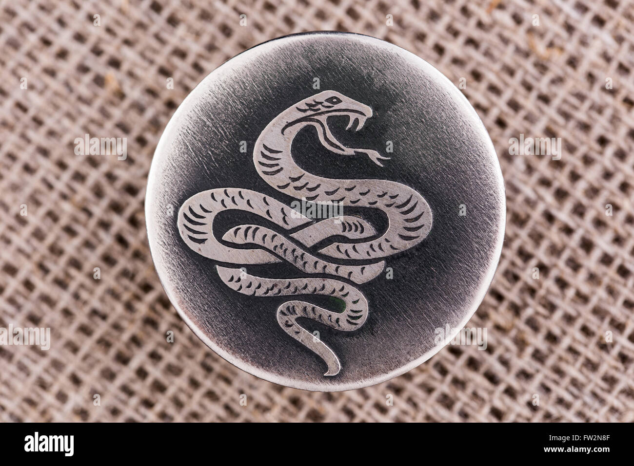The snake - a symbol of wisdom and vitality, guardian life,health. Stock Photo