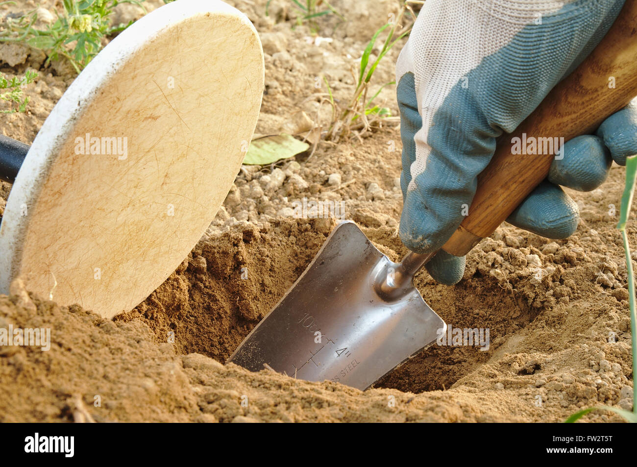 Metal detecting and treasure hunting. Metal detector, spade and gloves. Sports and hobbies theme Stock Photo