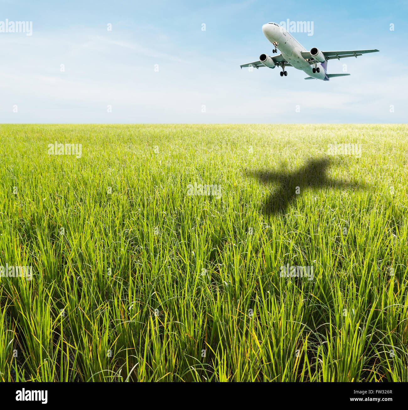 Green grass field with bright blue sky and airplane landing Stock Photo