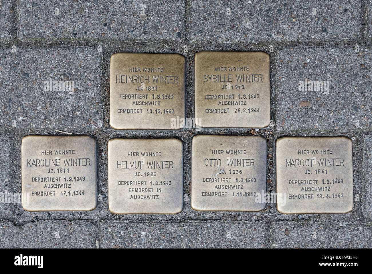 Stolpersteine, stumbling blocks, cobblestone-sized memorials for Jewish victims of Nazism, Osnabrück, Lower Saxony, Germany Stock Photo