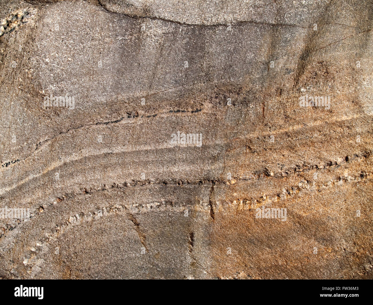 Closeup texture of stone trace Stock Photo Alamy