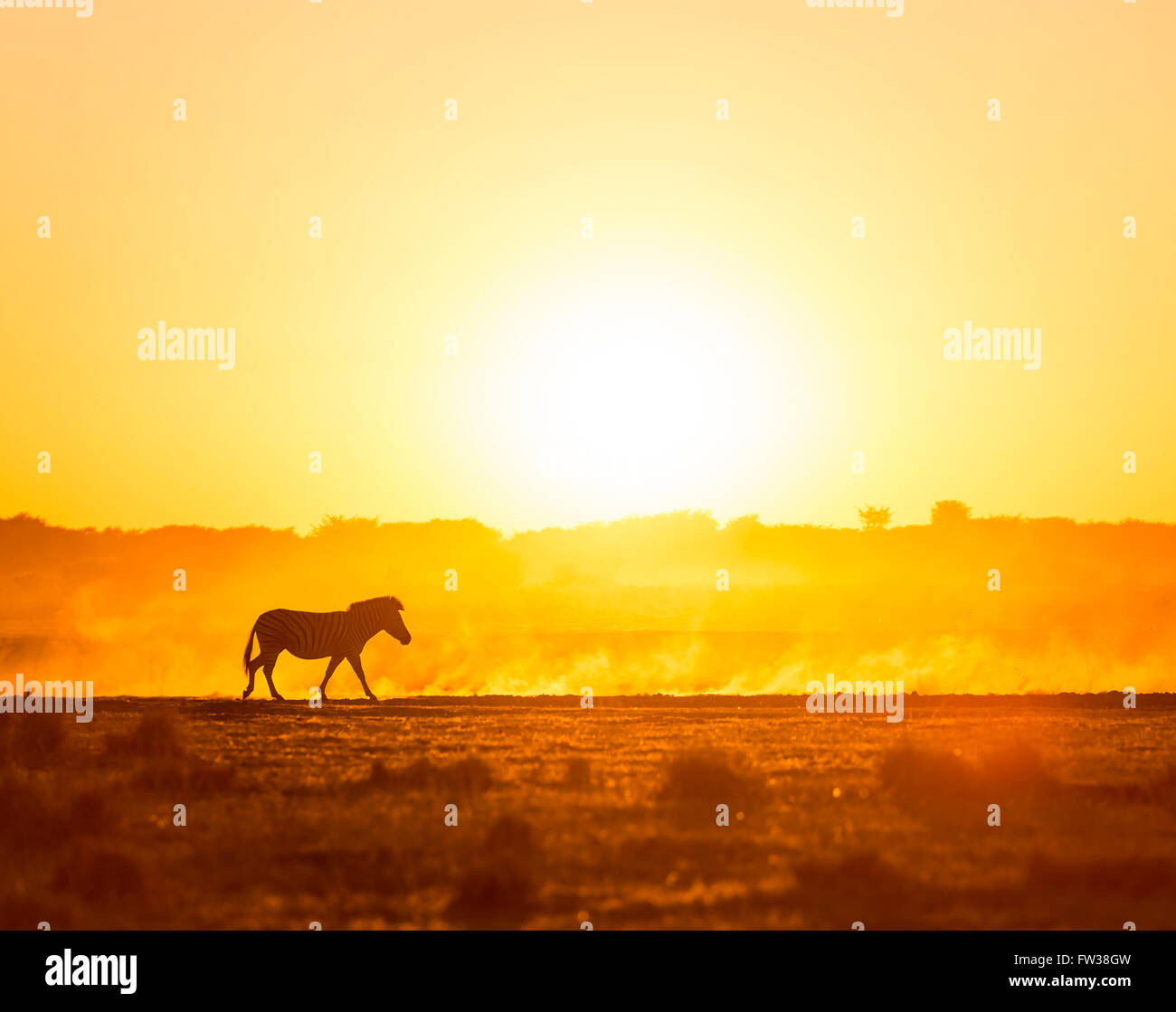 Safari africa sunrise sunset hi-res stock photography and images - Alamy